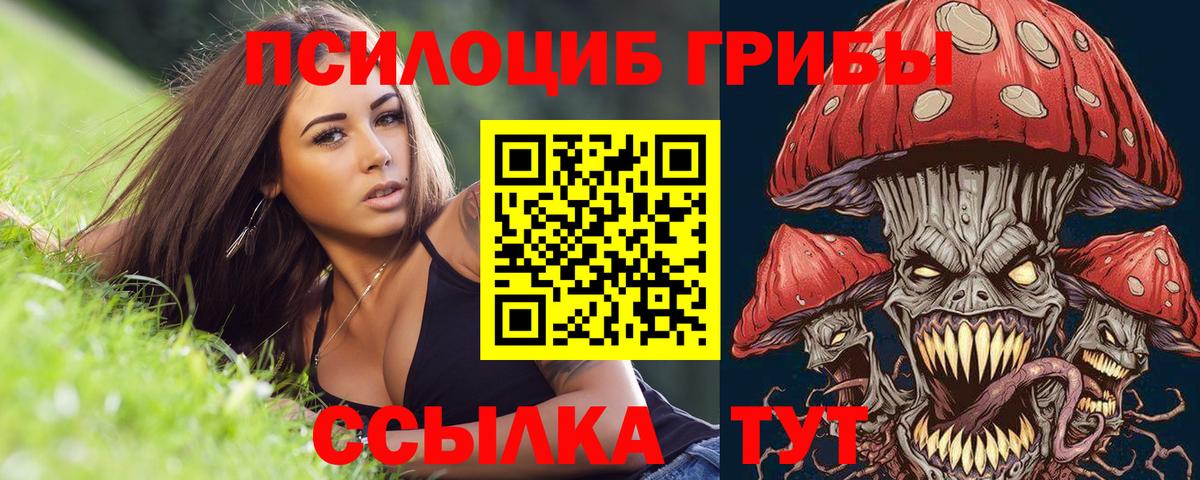 Псилоцибиновые грибы ЛСД Ростов-на-Дону