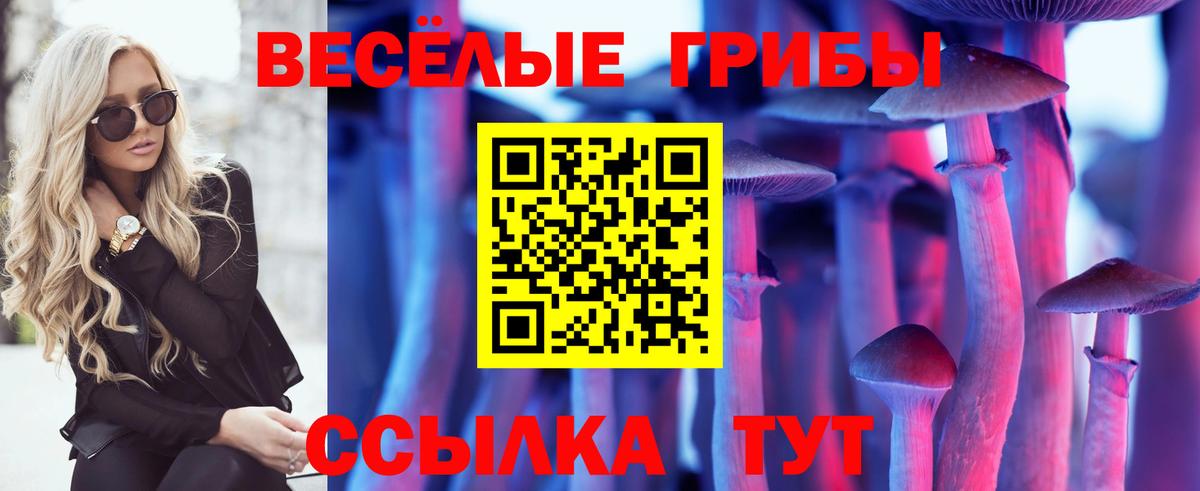 Псилоцибиновые грибы Psilocybine cubensis  Вход с VPN  Ростов-на-Дону  Псилоцибиновые грибы MAGIC MUSHROOMS 